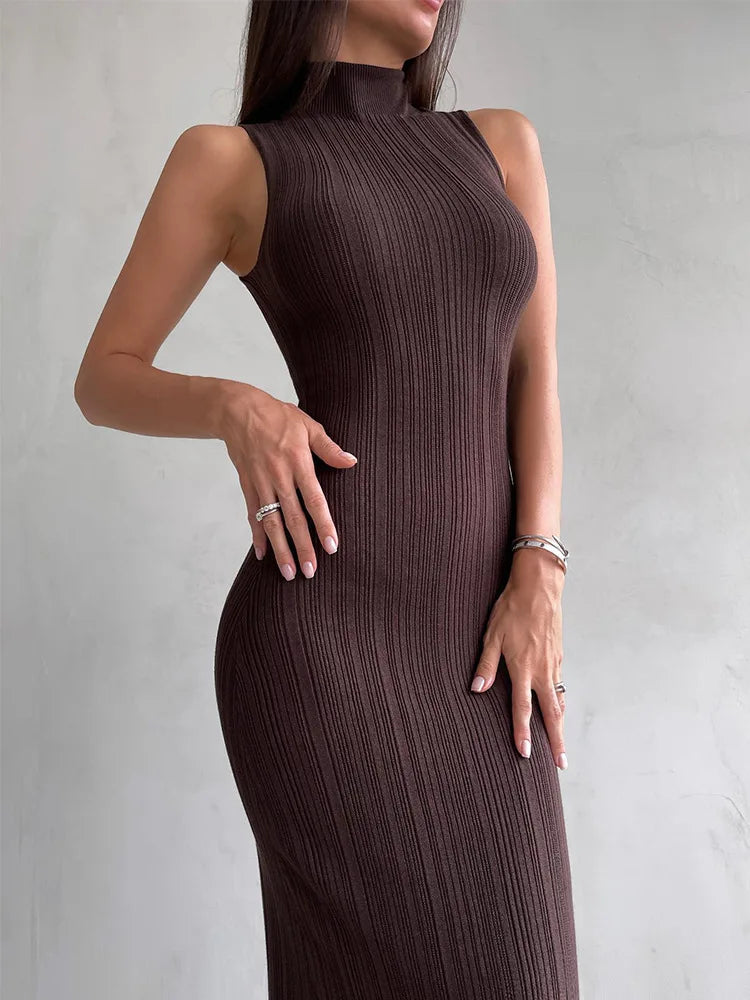 Knitwear Turtleneck Long Dress